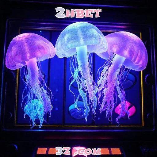 FAQ do 2hbet: Esclarecendo Dúvidas com Estilo e Clareza